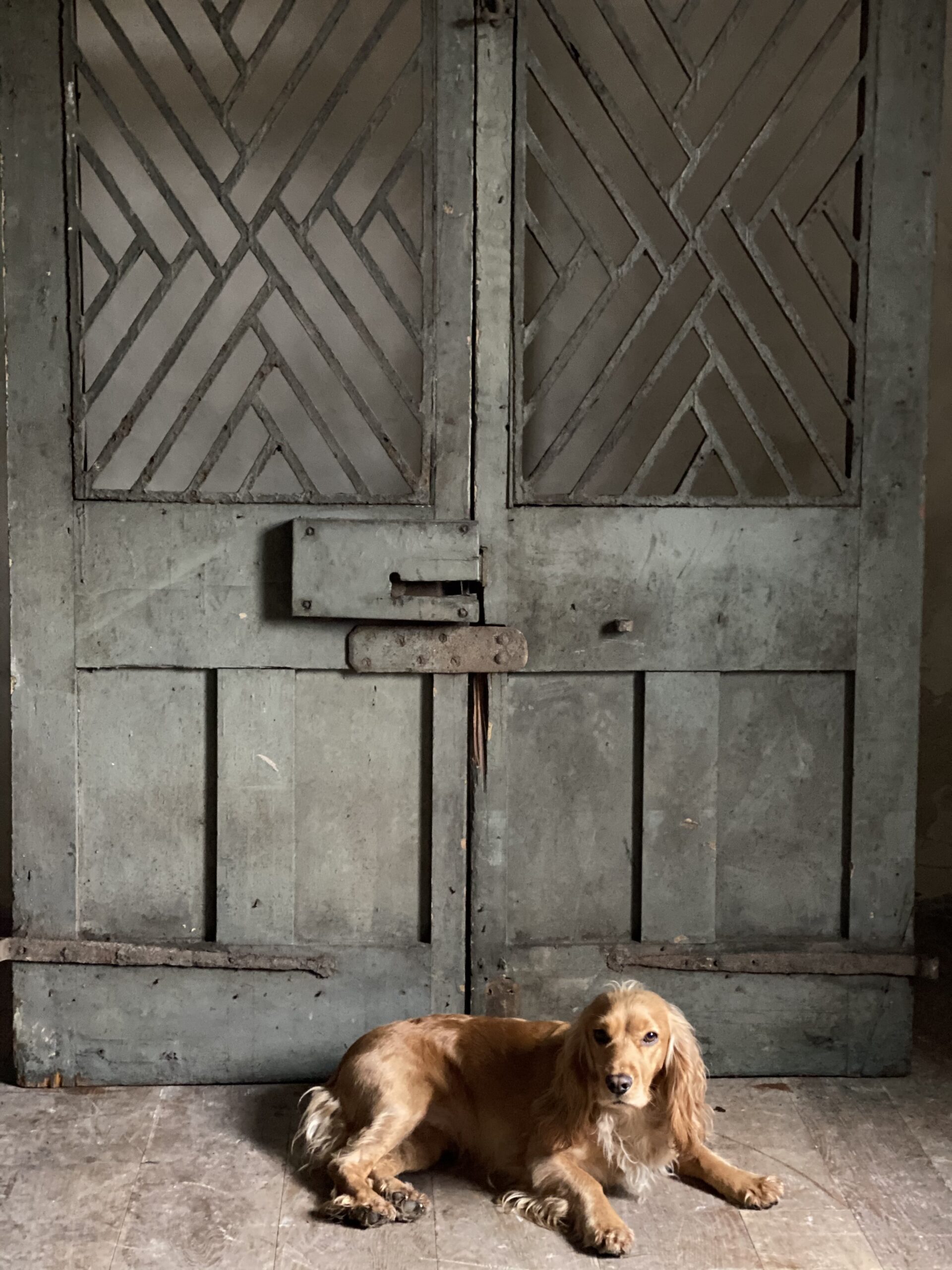 18thC Chinoiserie Double  Doors image 9