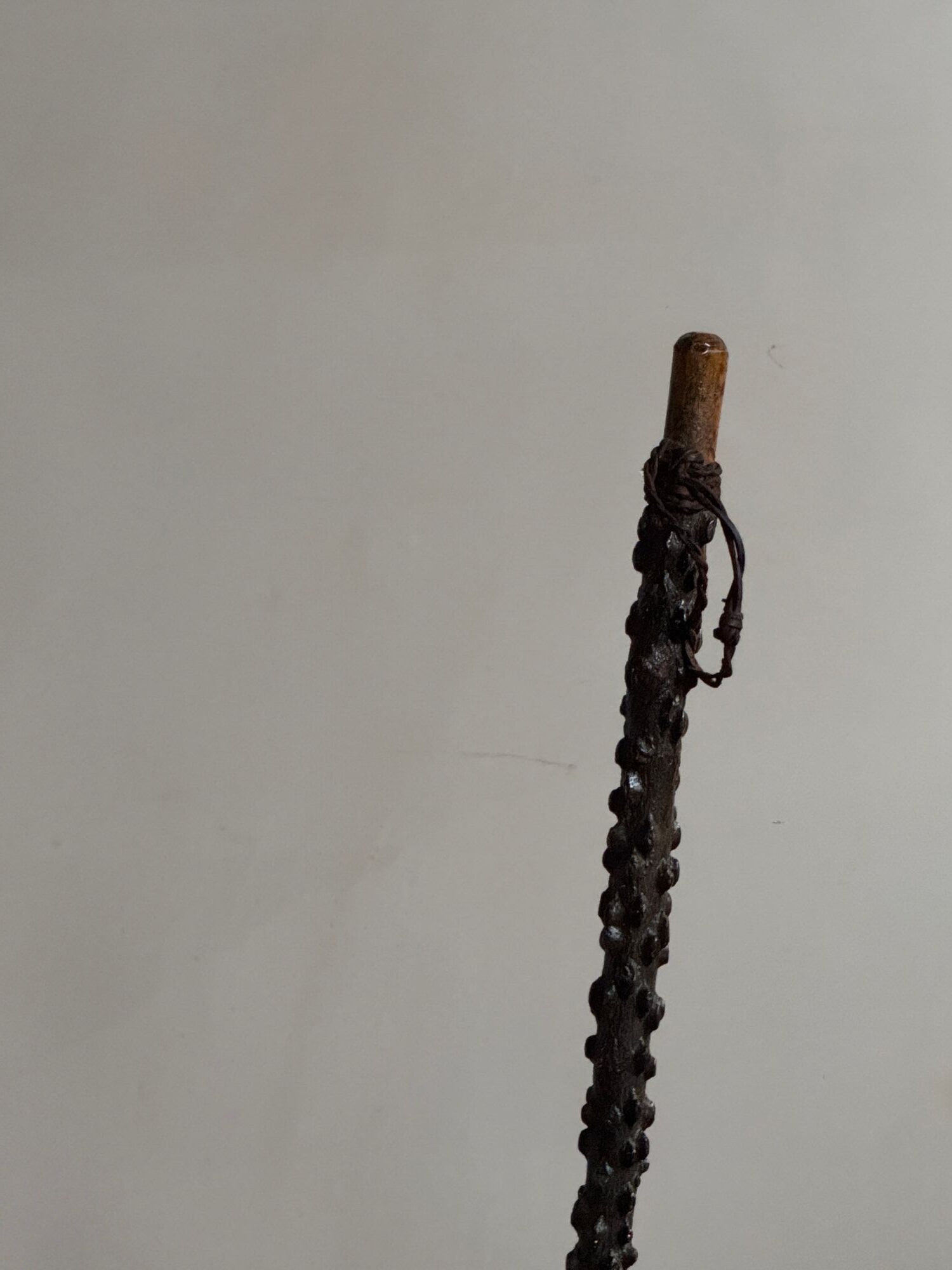 19thC Winged Elm walking stick image 4