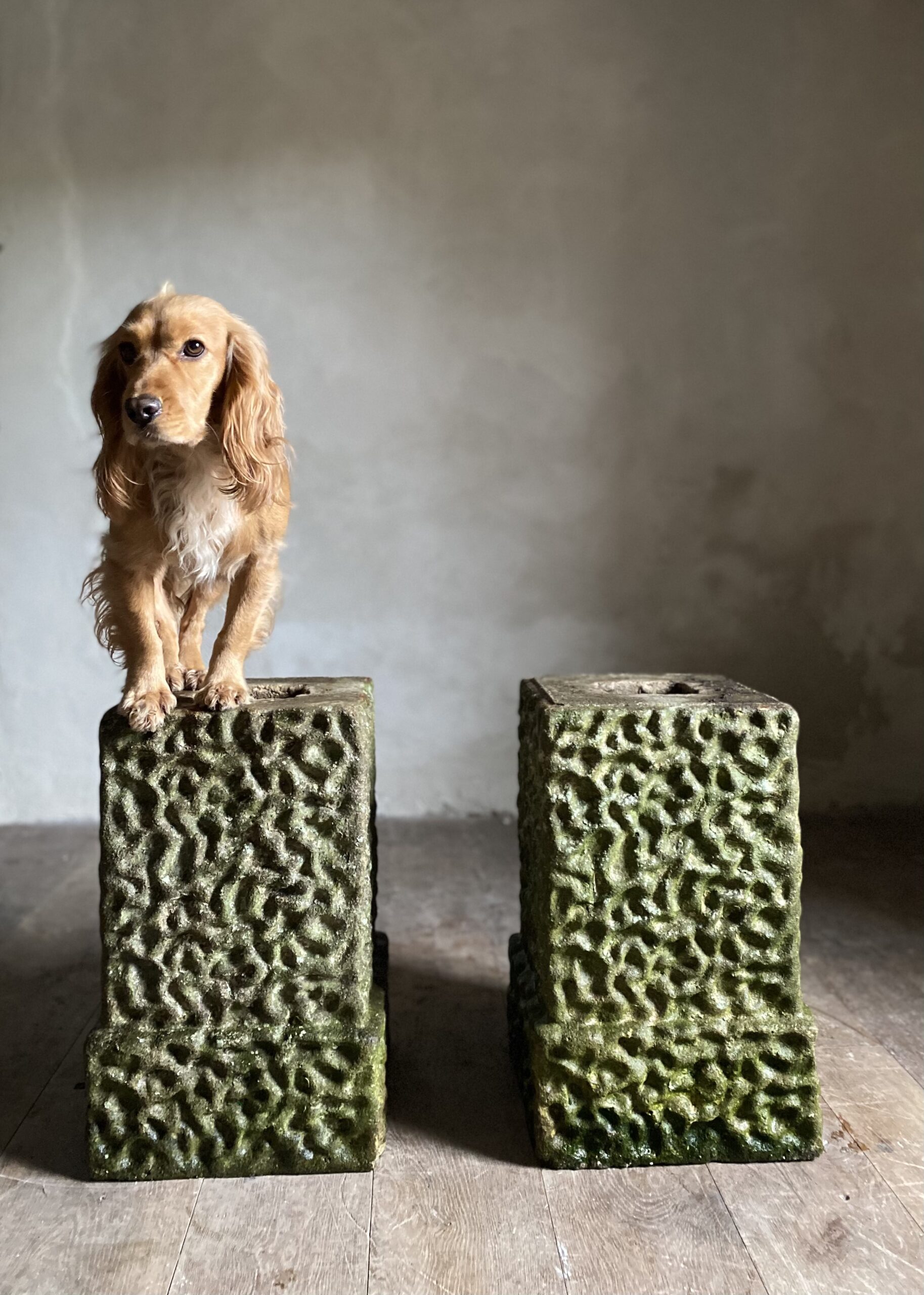 Vermiculated Pedestals by Austin & Seeley image 7