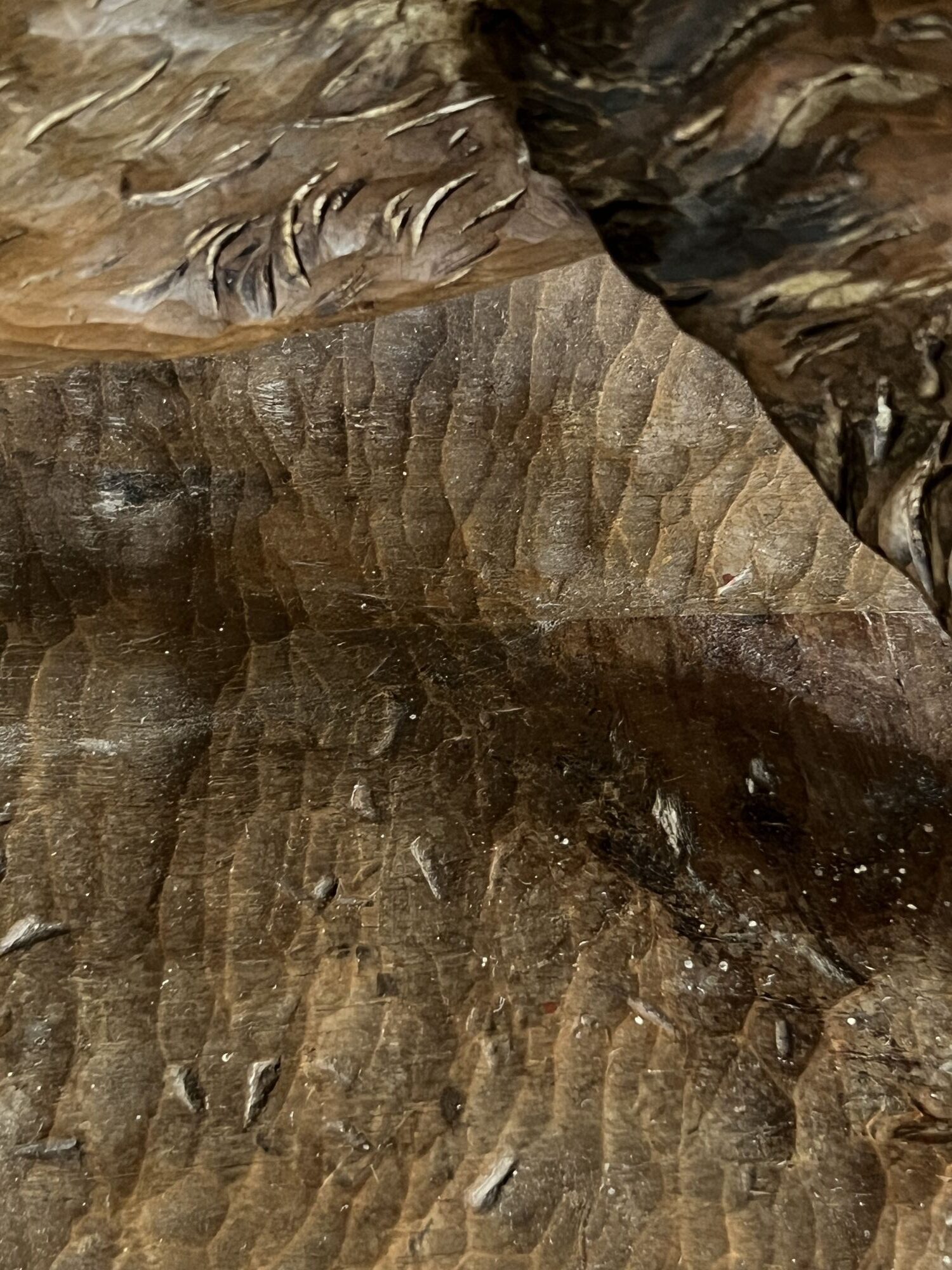 Carved Black Forest ‘il Porcellino’ Boar image 3