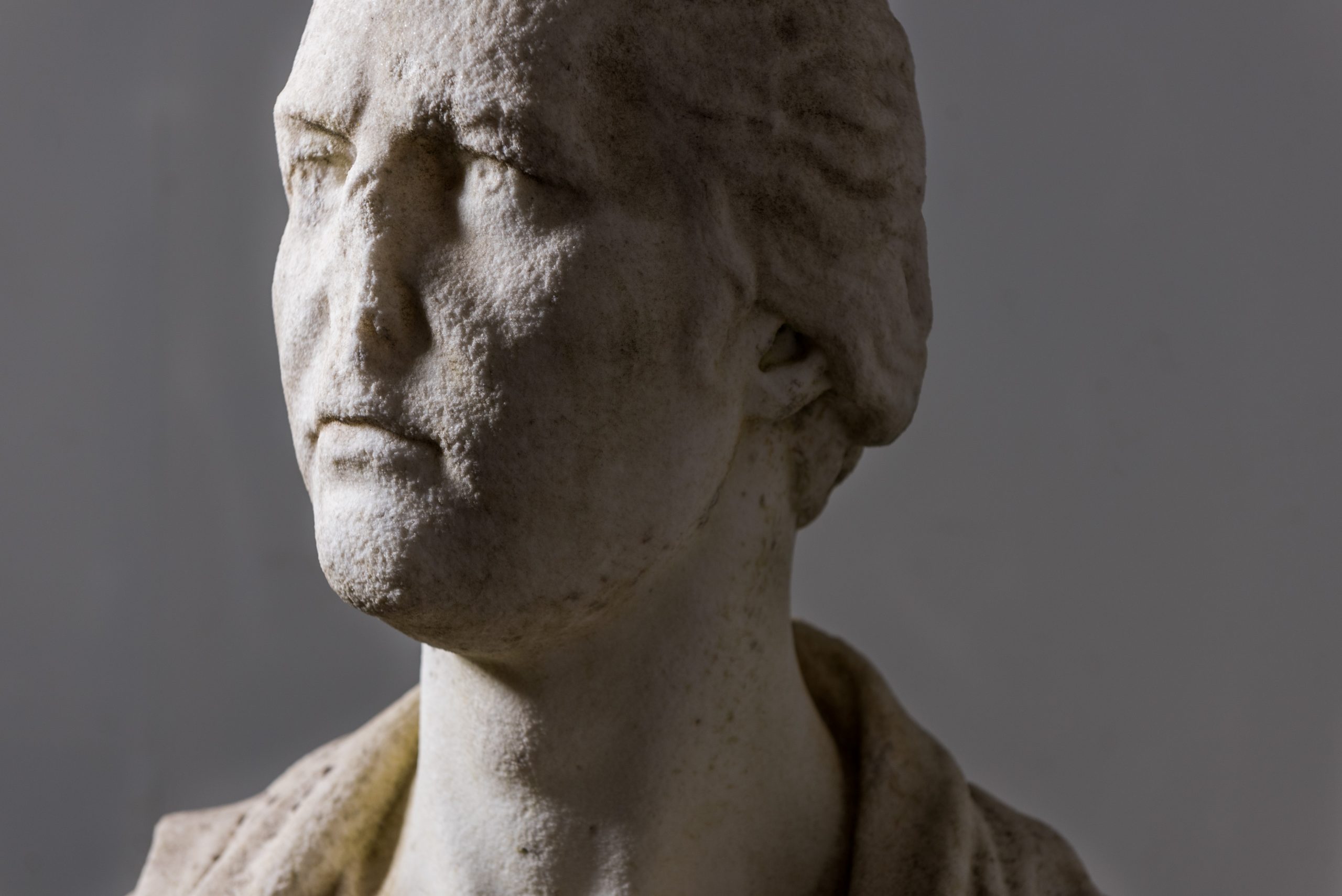 Marble Bust of William Pitt the Younger image 7