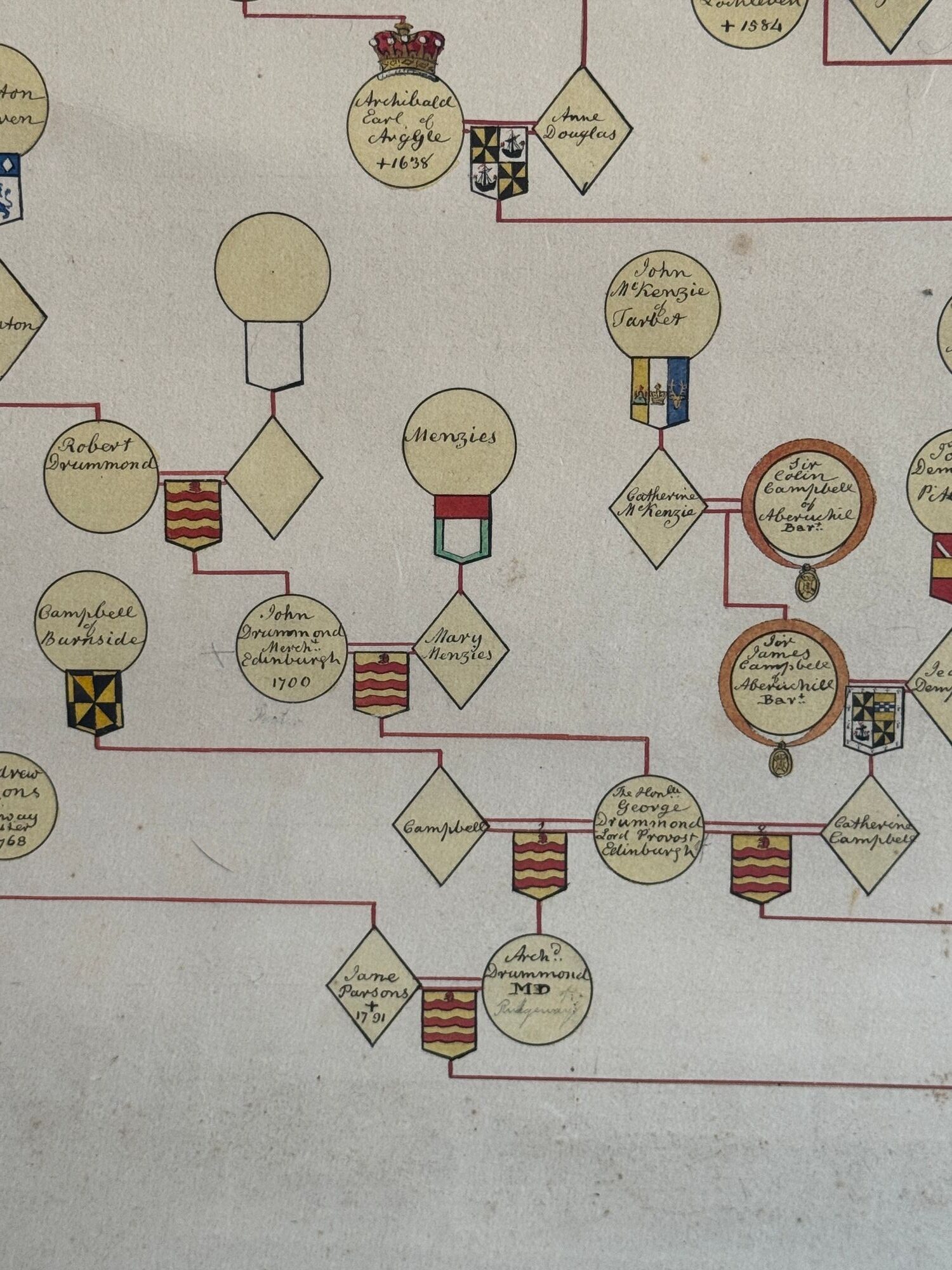 Drummond family pedigree image 7