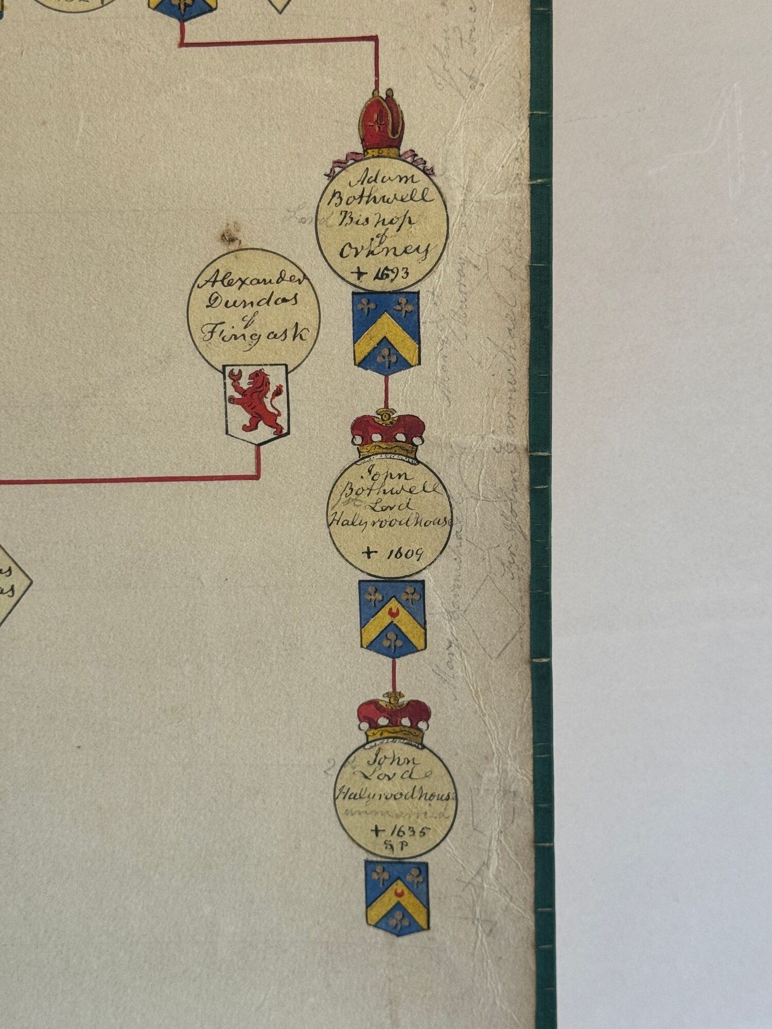 Drummond family pedigree image 4
