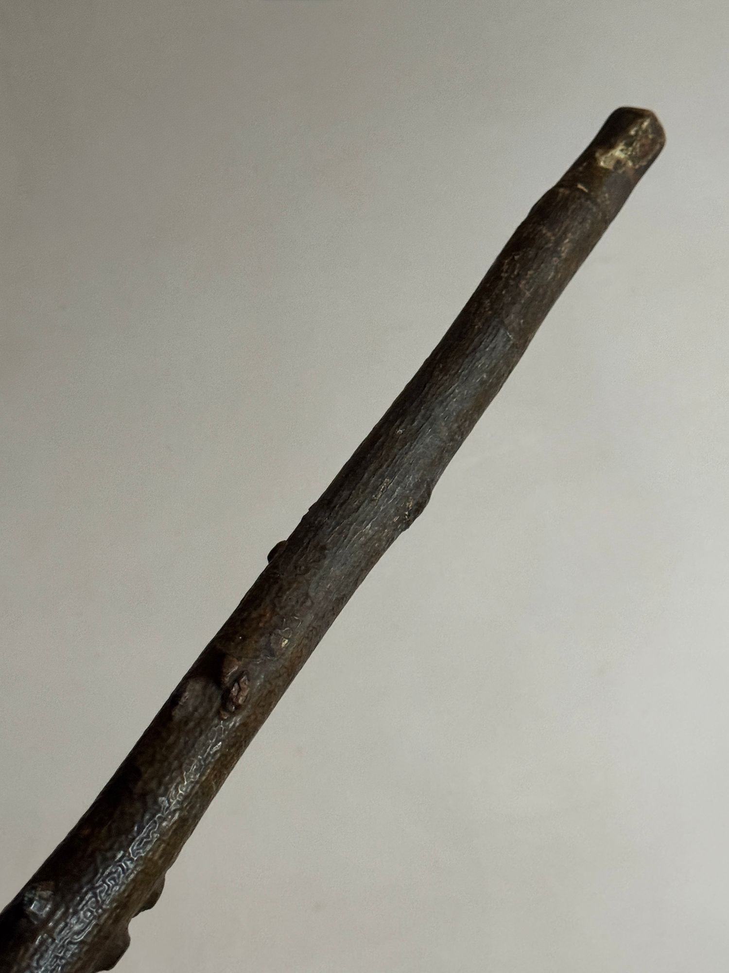 19thC Winged Elm walking stick image 6