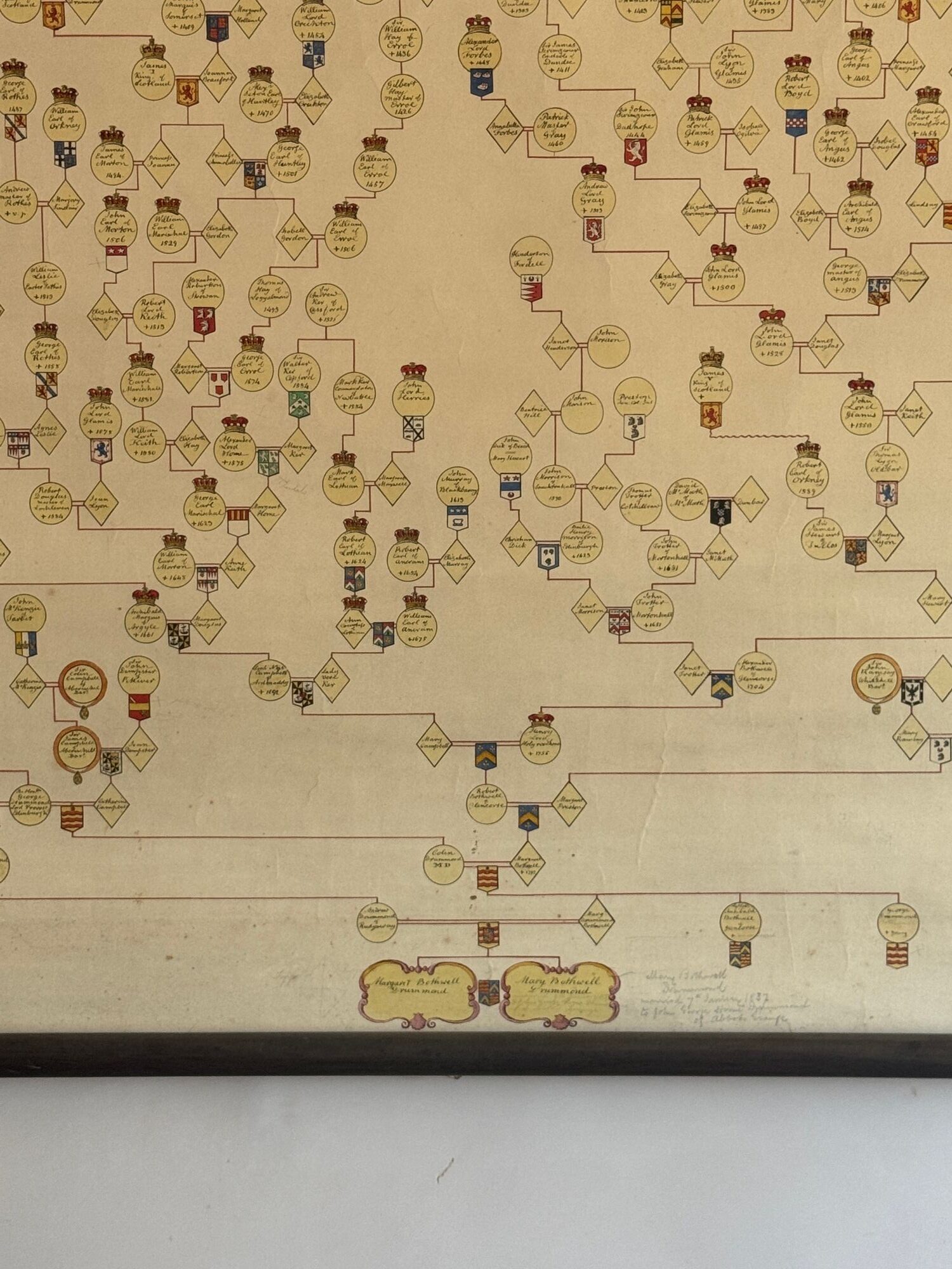 Drummond family pedigree image 3