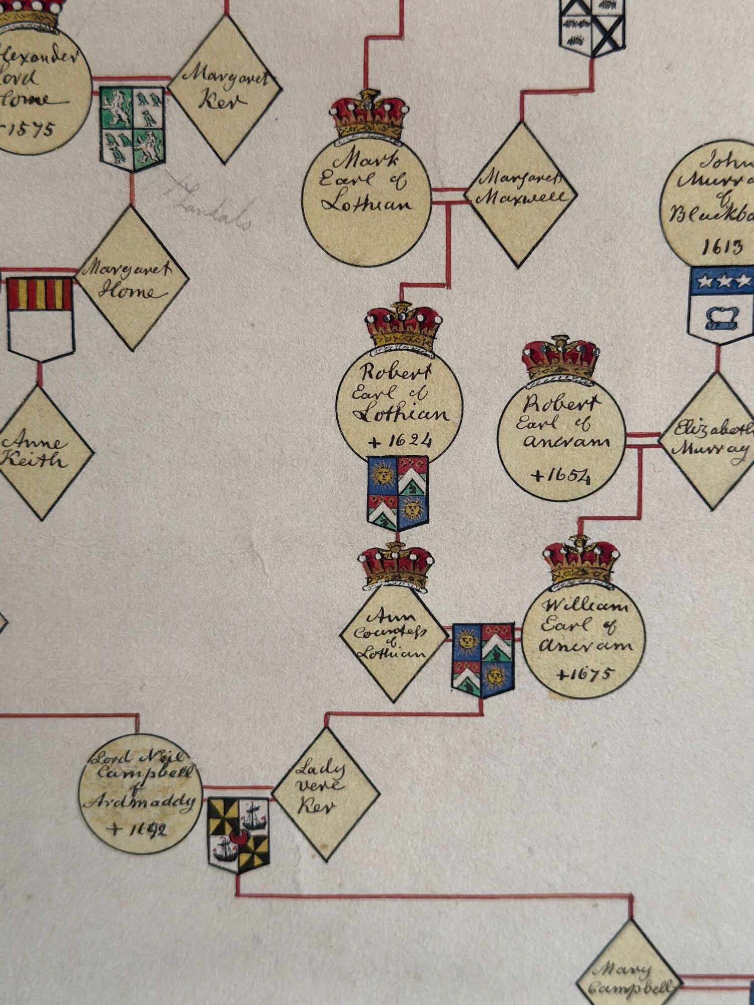 Drummond family pedigree image 11