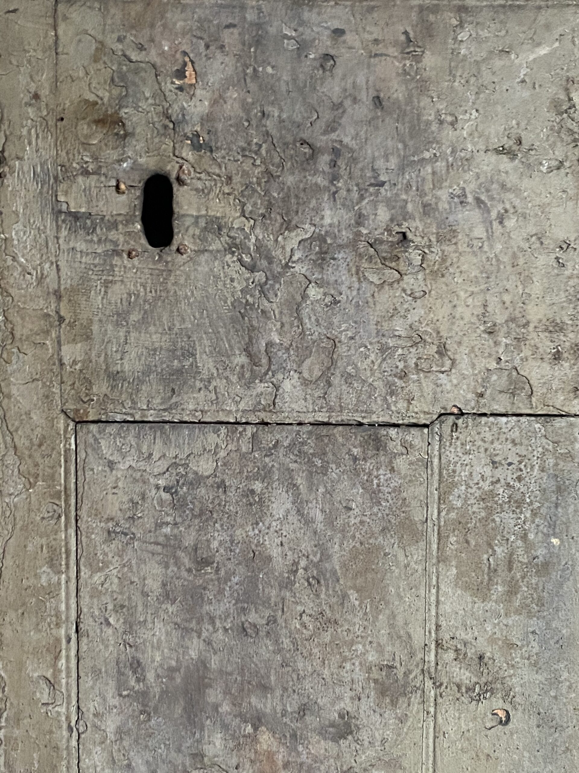 18thC Chinoiserie Double  Doors image 5