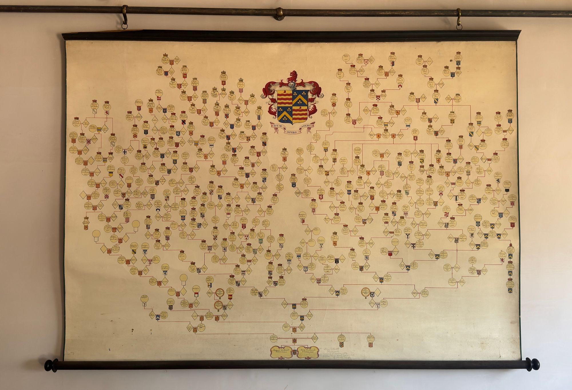 Drummond family pedigree