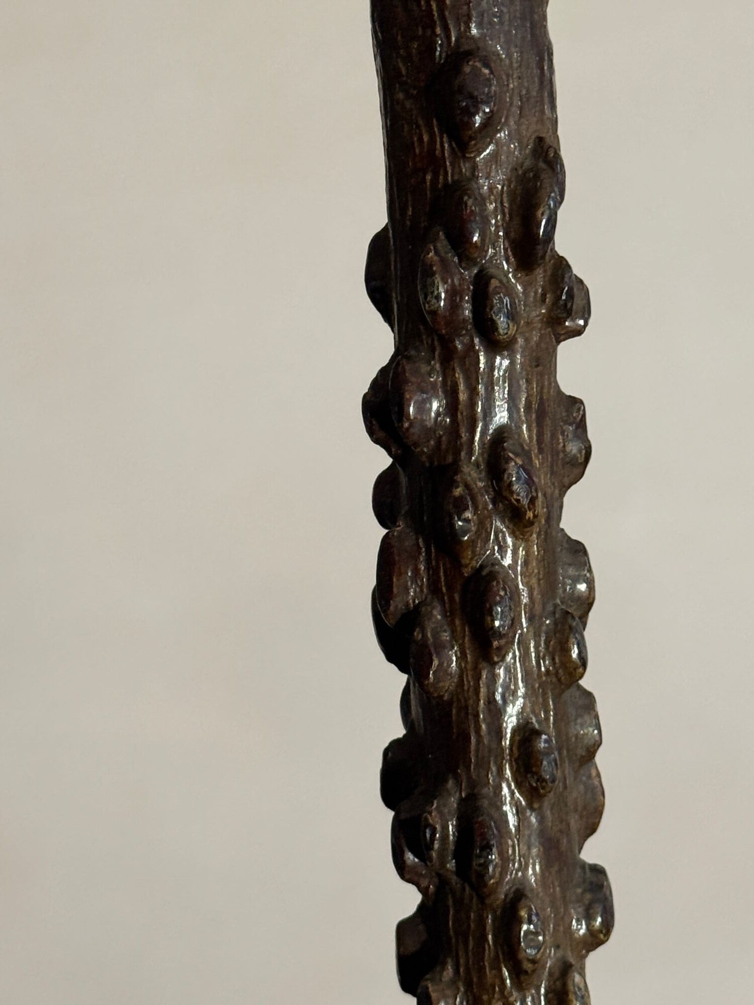 19thC Winged Elm walking stick image 5