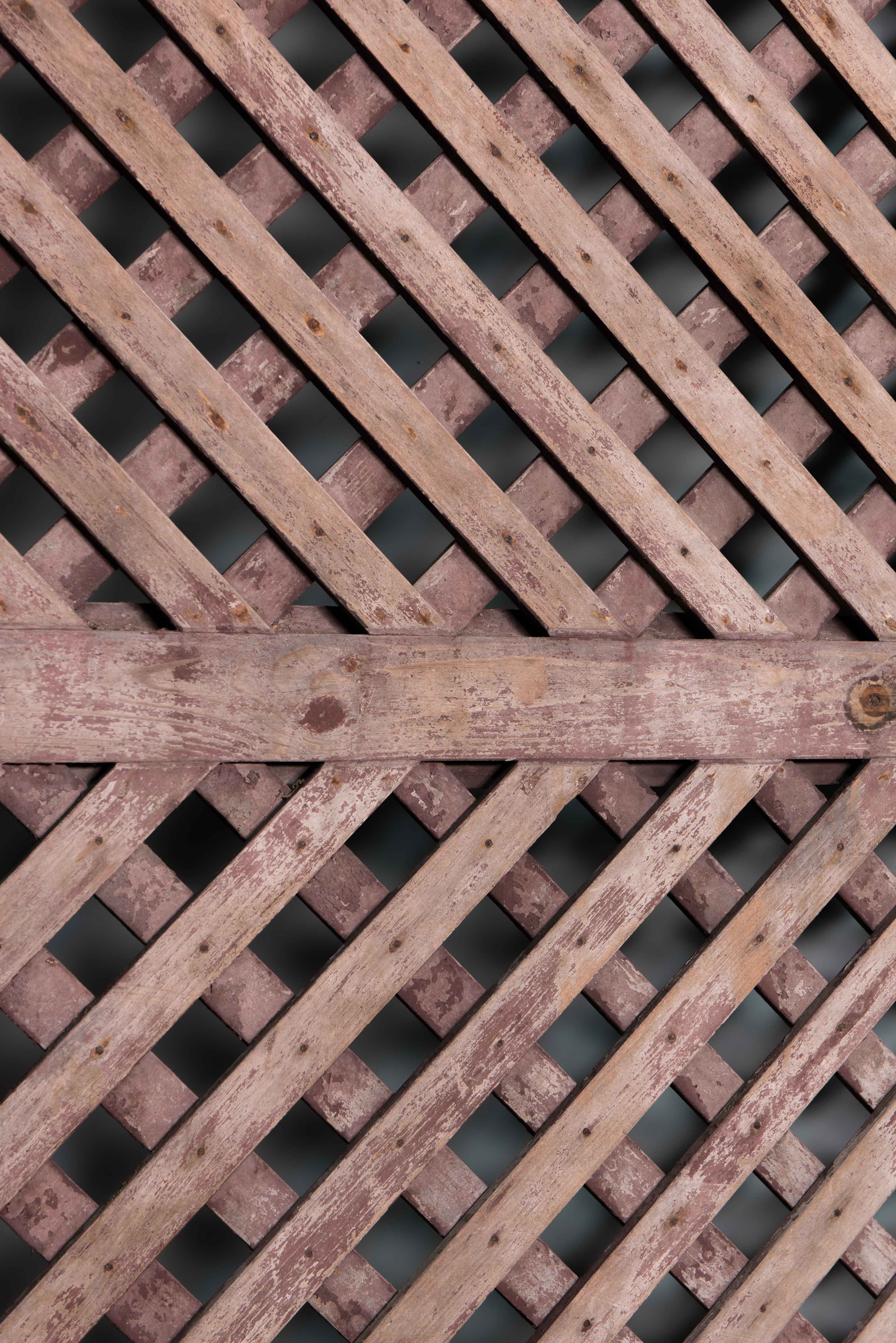 Latticework Gate image 5