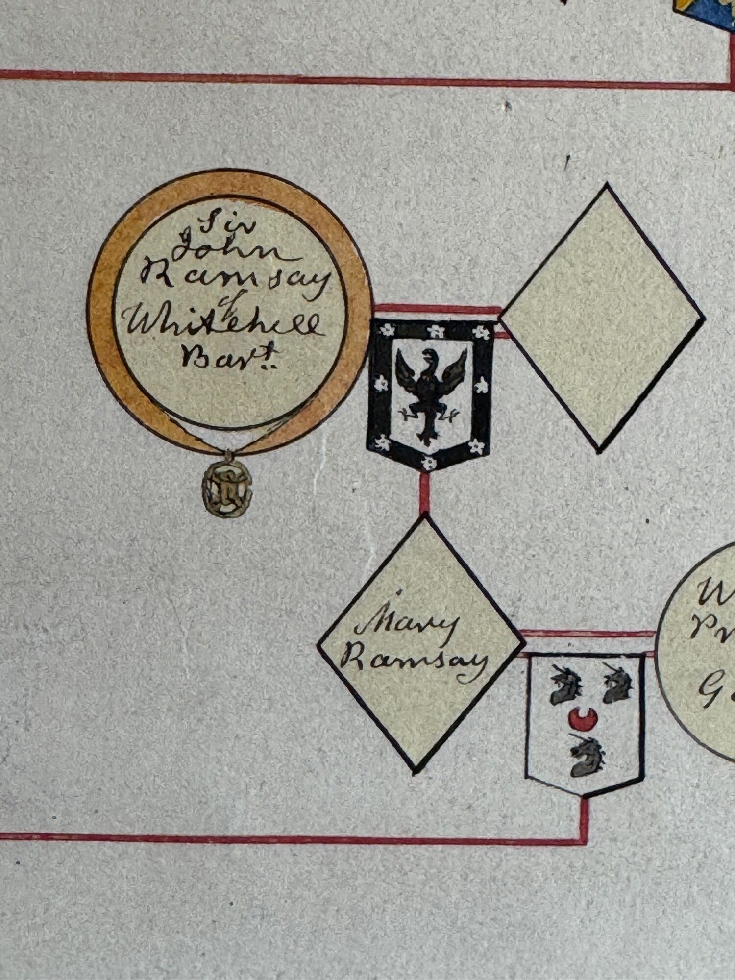 Drummond family pedigree image 9
