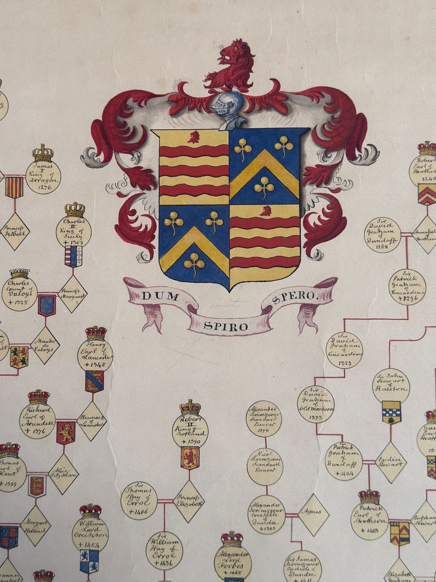 Drummond family pedigree image 5