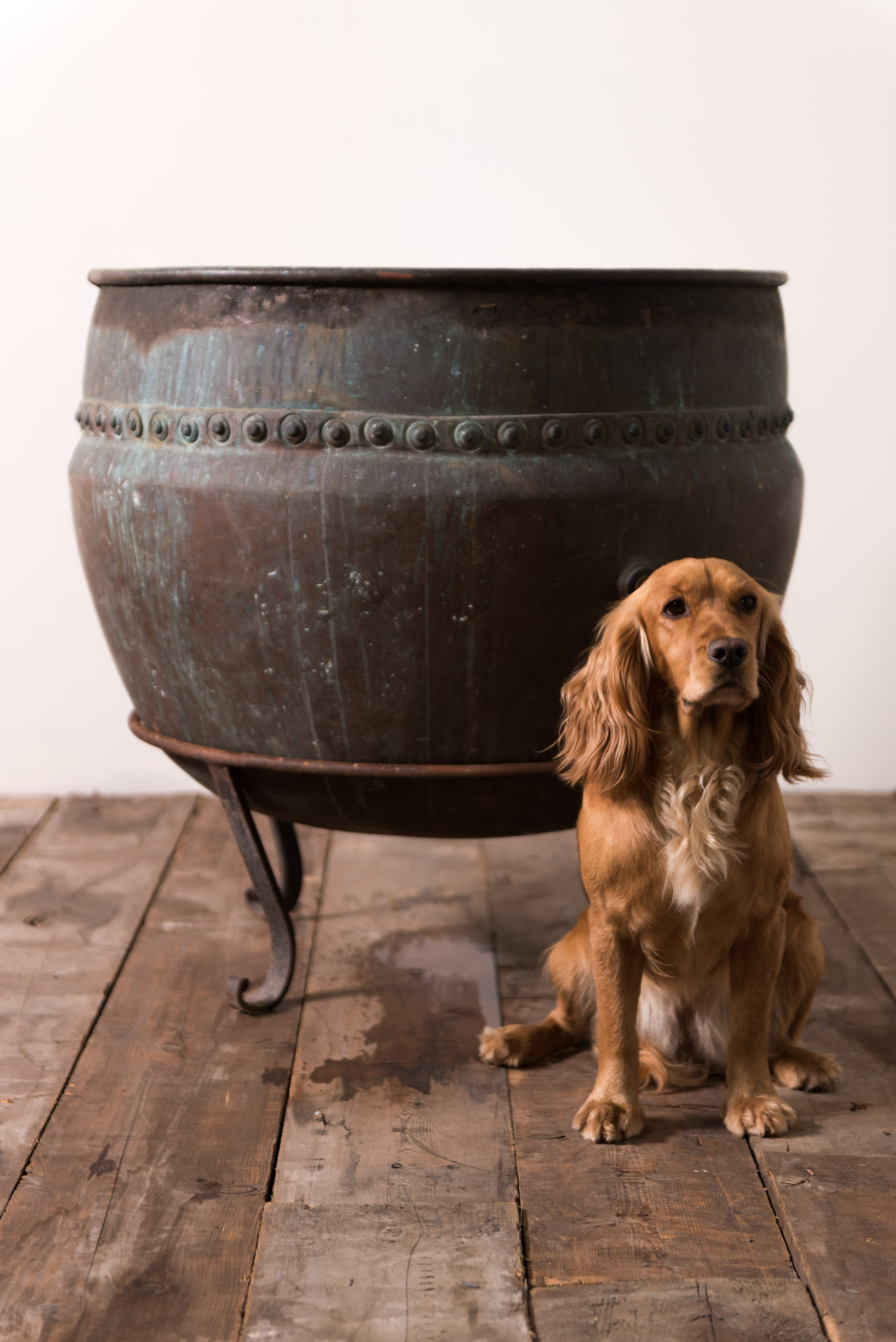 Large Copper Planter image 11